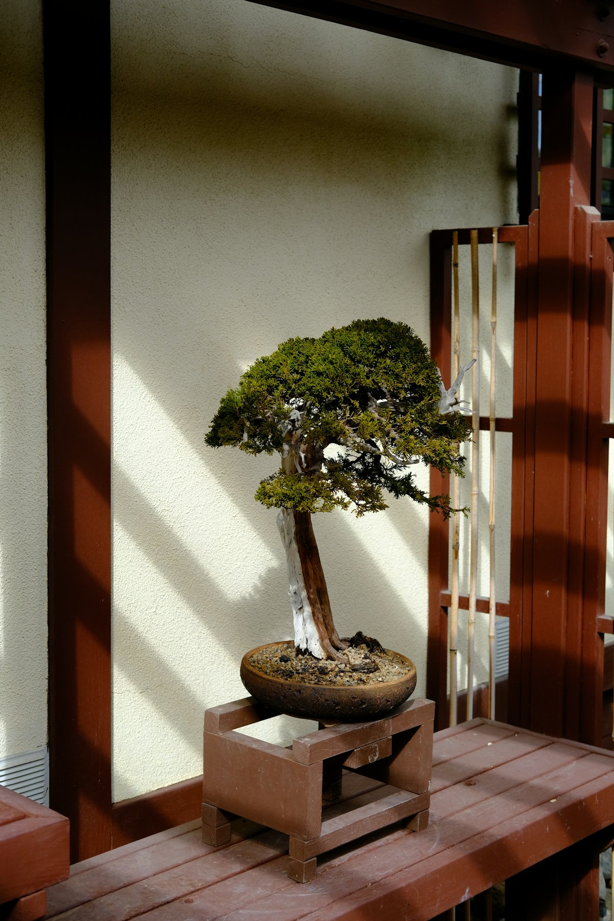 Artist-signed Tokoname bonsai pot